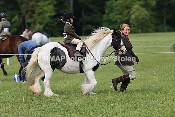 IMG_2297 - Working Hunter