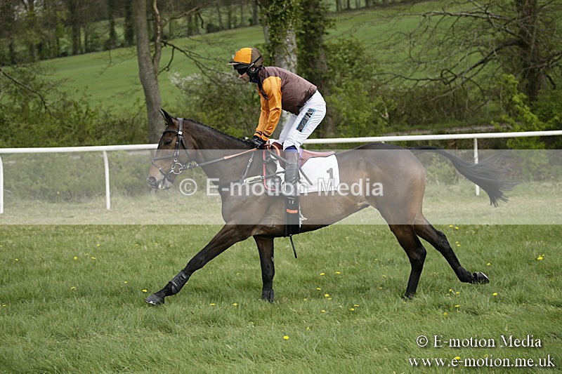 PtP 170417 153 - Old Berks Point-to-Point Lockinge 17/04/17