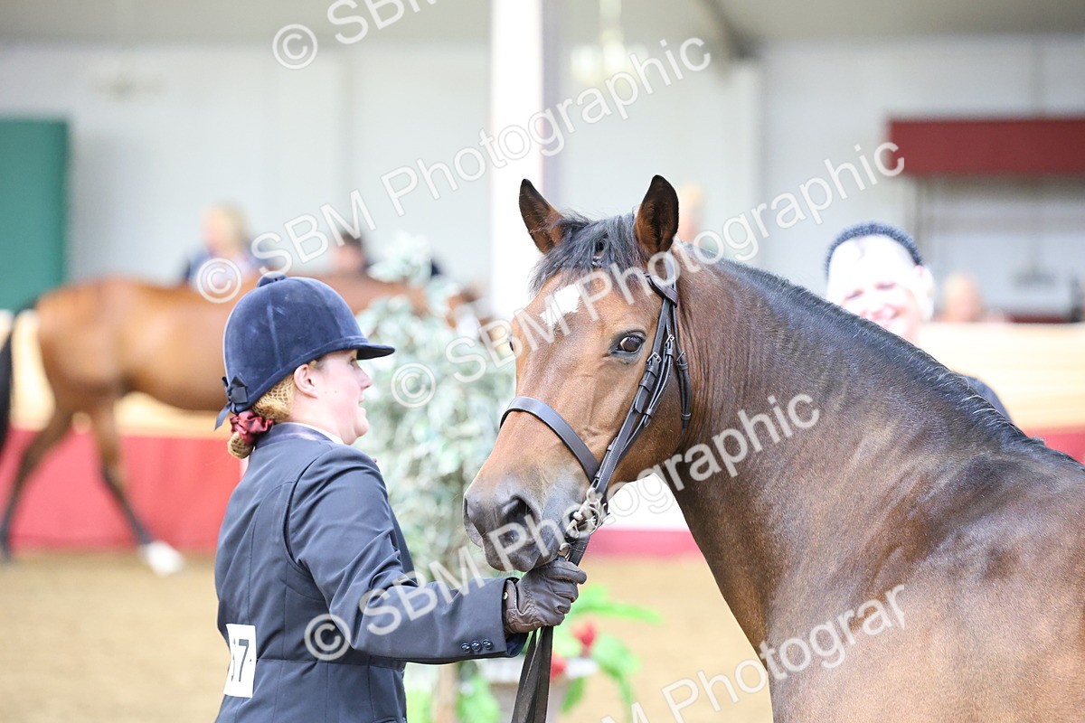 SBM_23351 - Class 903 - Supreme Final - IH Pre Vet