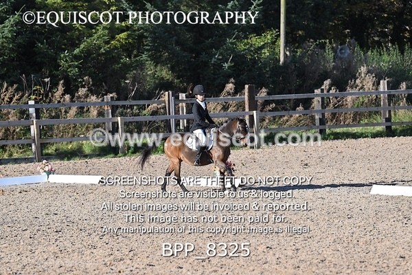 BPP_8325 - LONG ARENA
