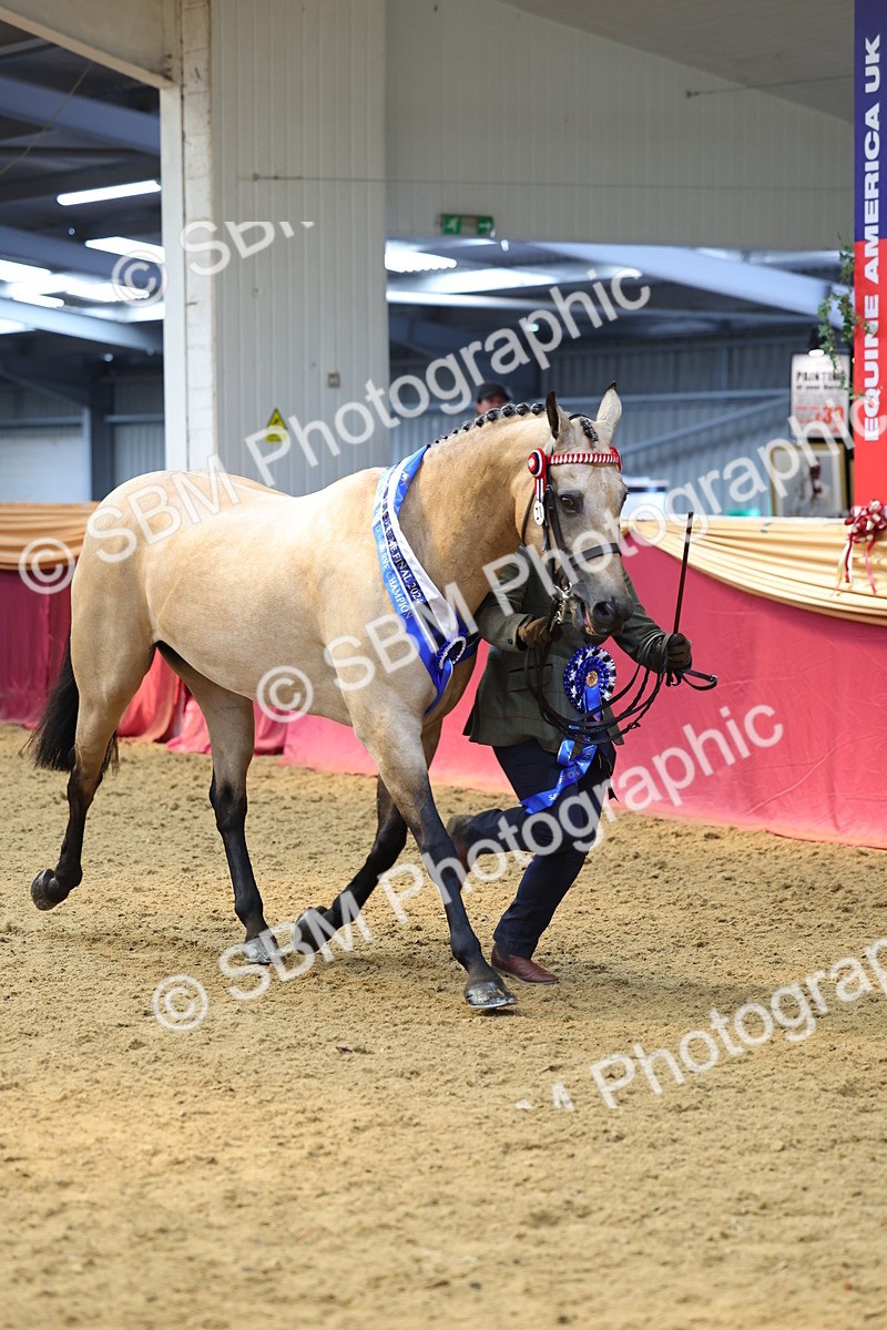 SBM_23268 - Supreme Final - IH Champion