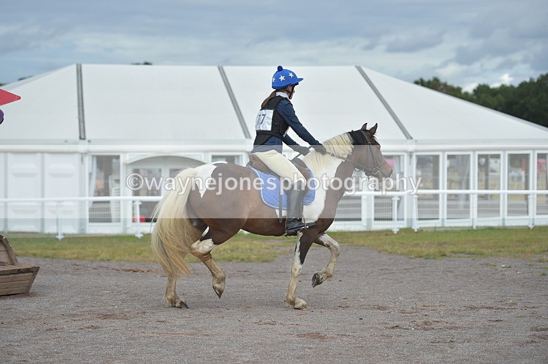 NGP_1375 - XC Time 10:38 to 10:51