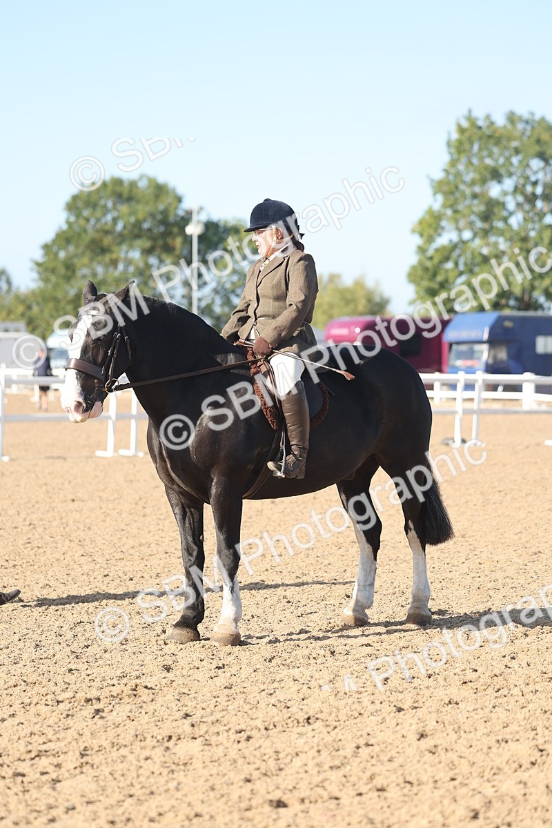 SBM_22181 - Class 802 - Ridden Groom Helpers Class