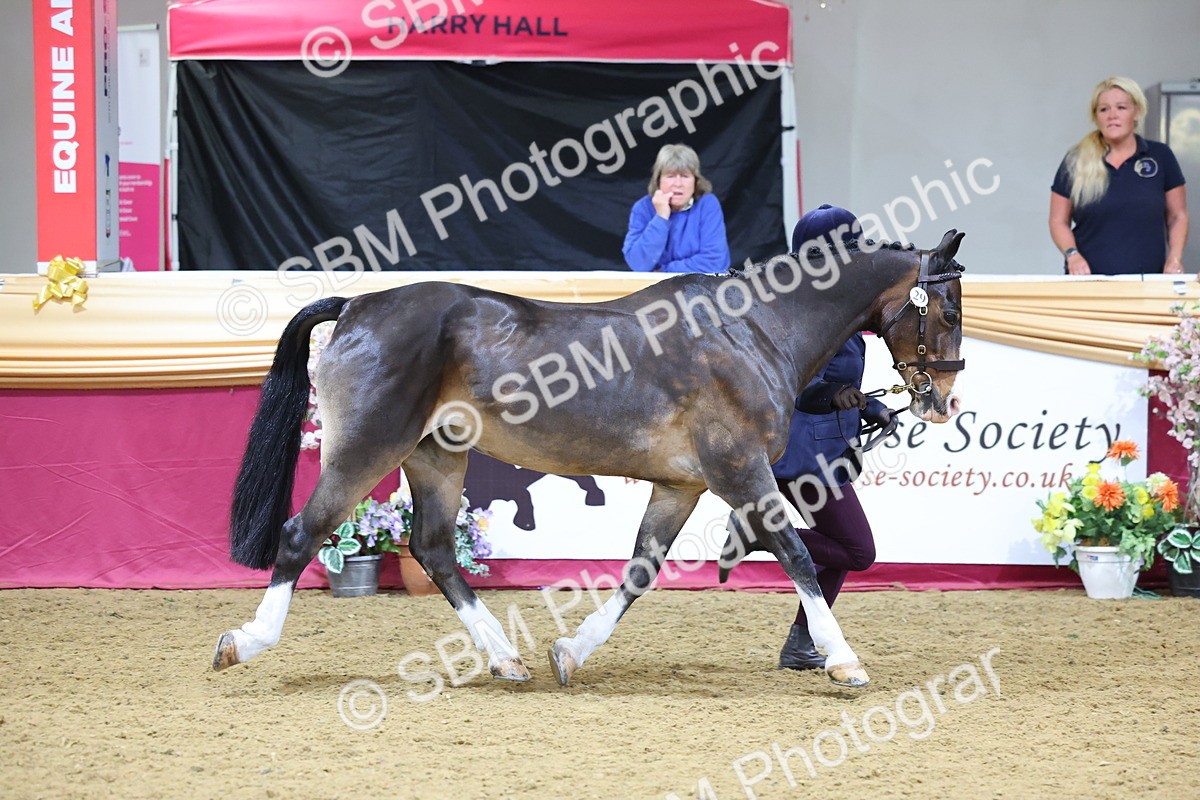 SBM_19433 - Class 901 - Supreme Final - IH Diamond