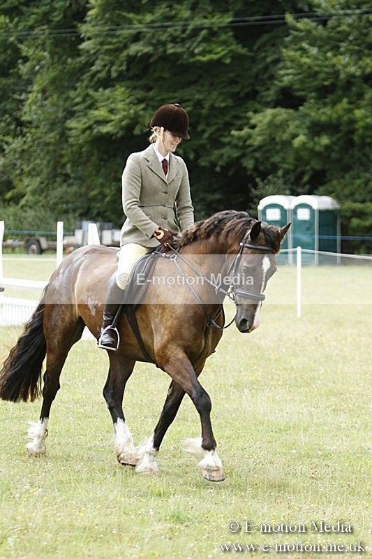 BVR160717-392 - Ring 3 BVRC Show 16/07/17