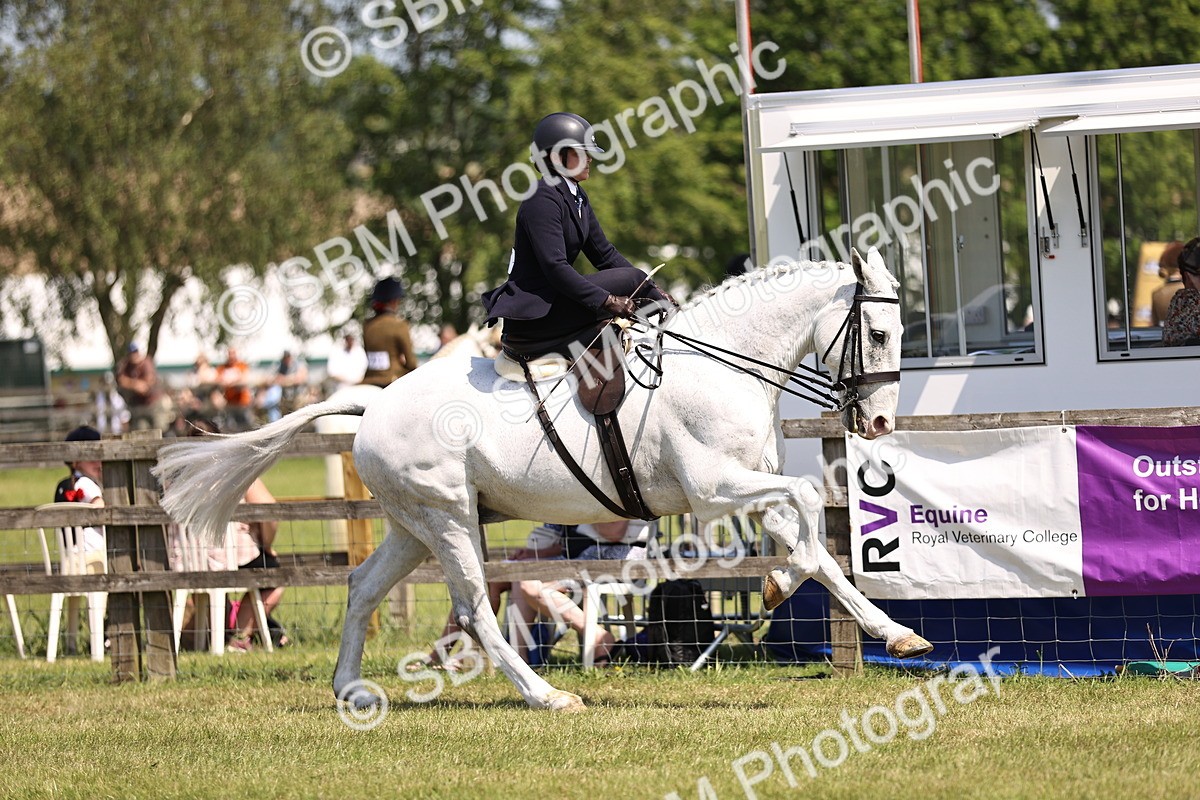 SBM_15162 - Class 79-80 - LIHS BSHA Rising Star Ridden Hunter