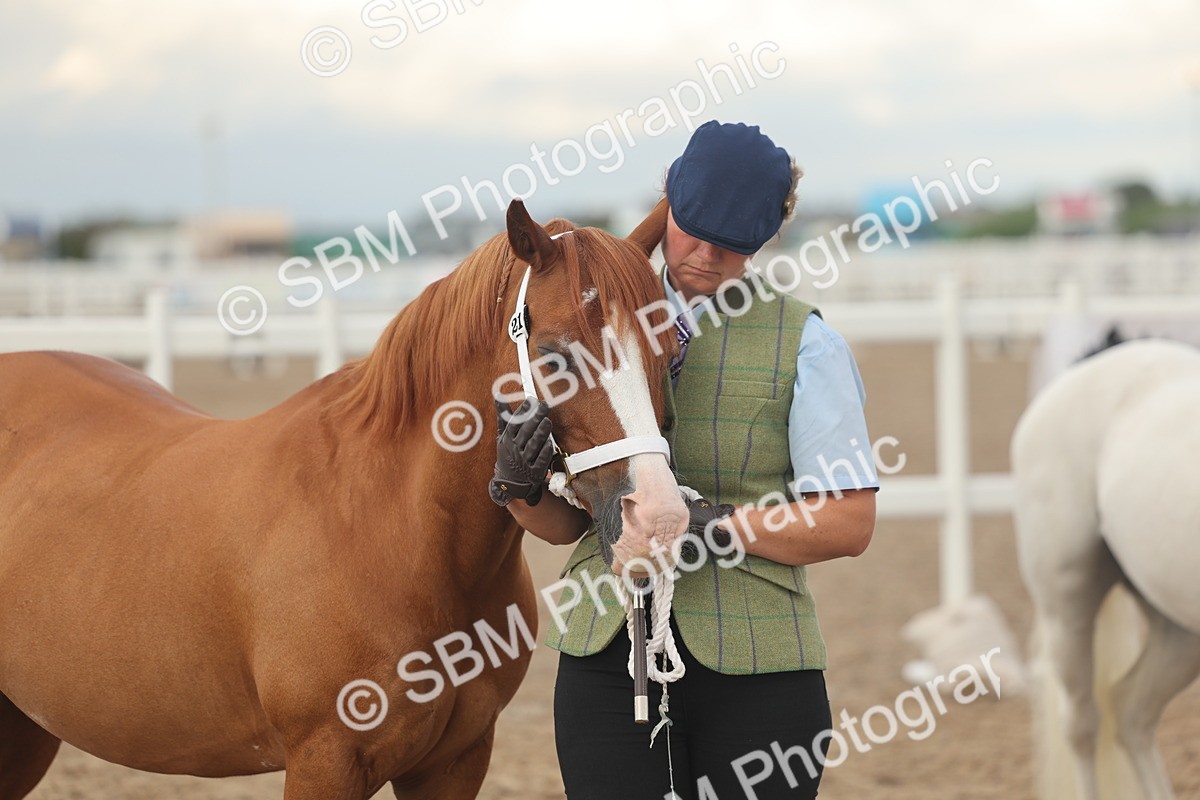 SBM_08544 - Class 29 - IH Veteran Pony
