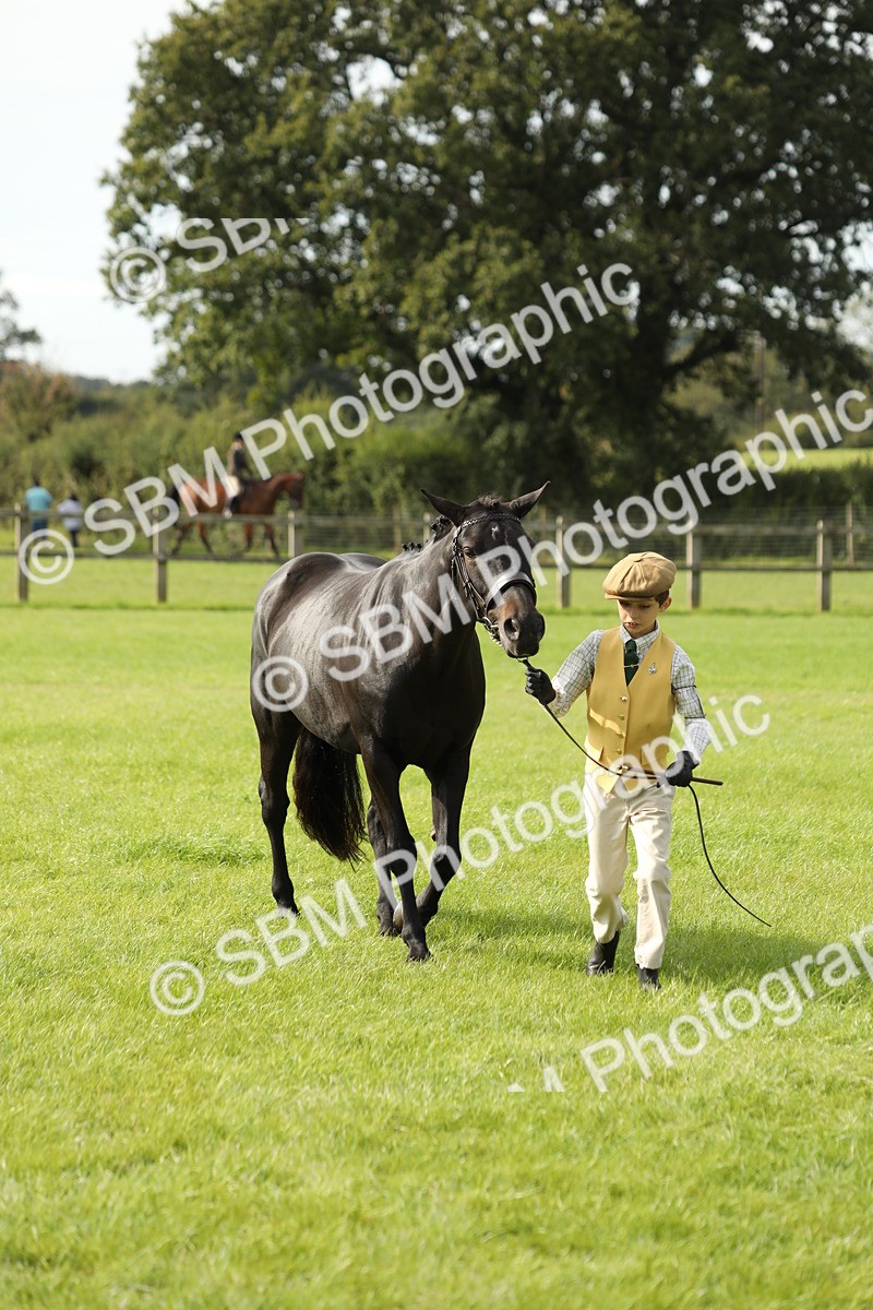 SBM_68688 - S40 - Junior Handler 9-12 Years