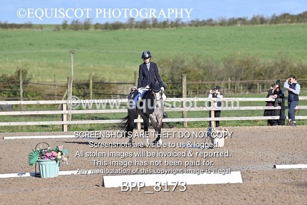 BPP_8173 - SHORT ARENA