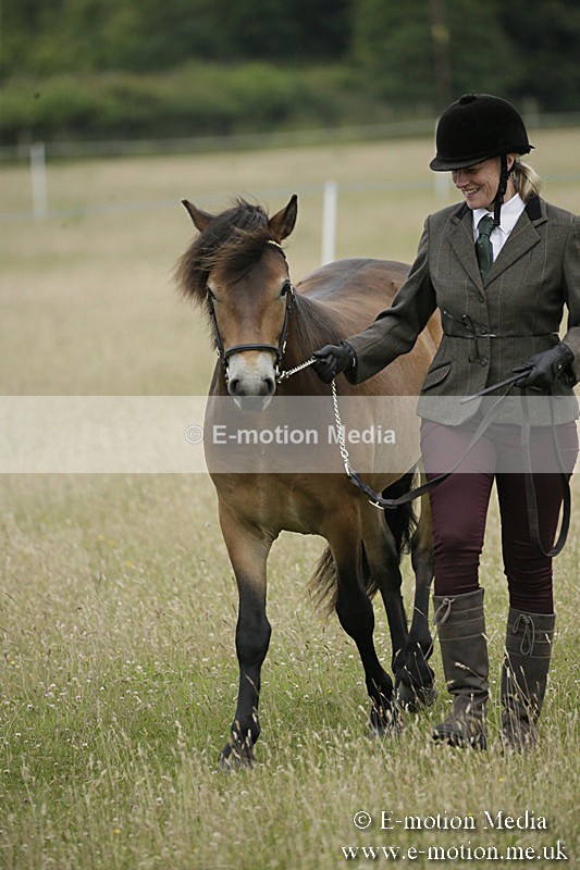 B230619-0038 - Bourne Valley Riding Club Summer Show 23/06/19