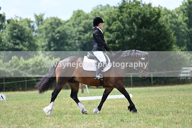 WJ7_5696 - Time 11:52 to 12:10