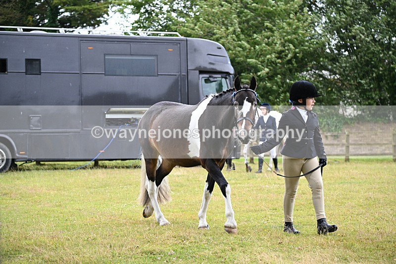 WJ6_8687 - Class 10 Coloured in-hand