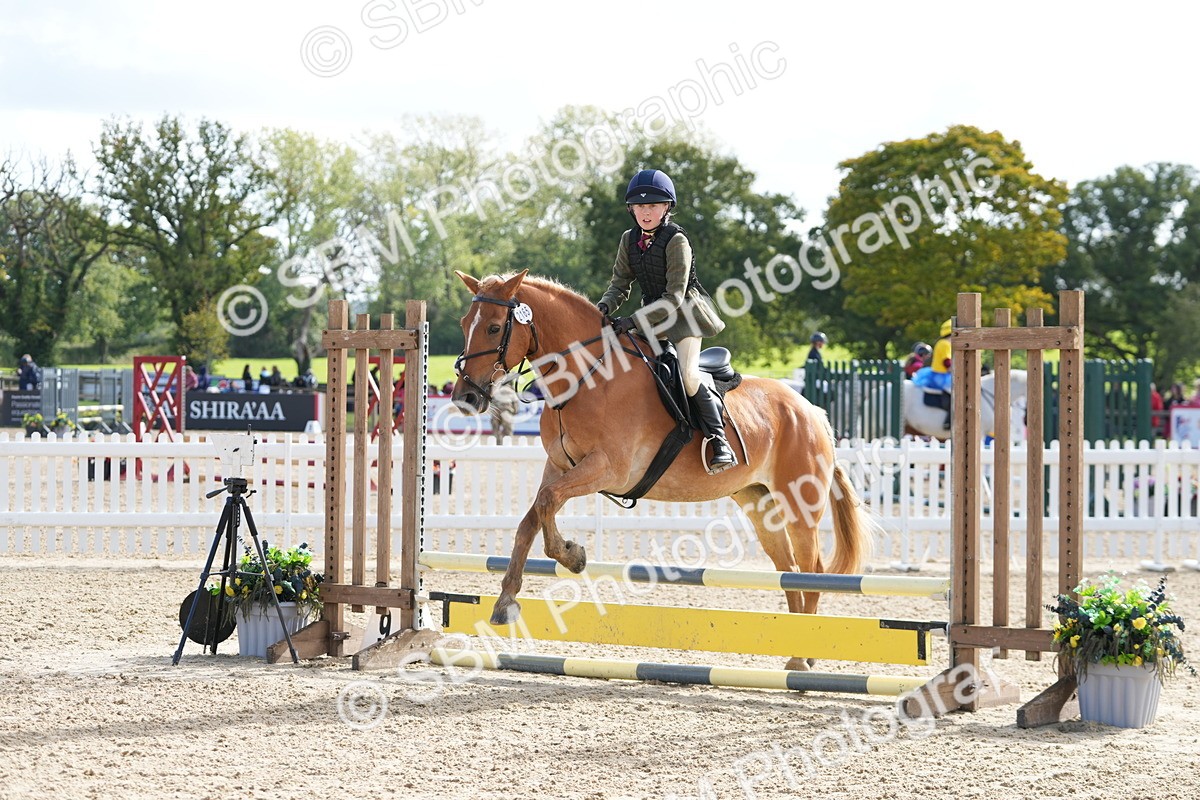 SBM_48483 - J7 - Junior Pony 60cm Championship
