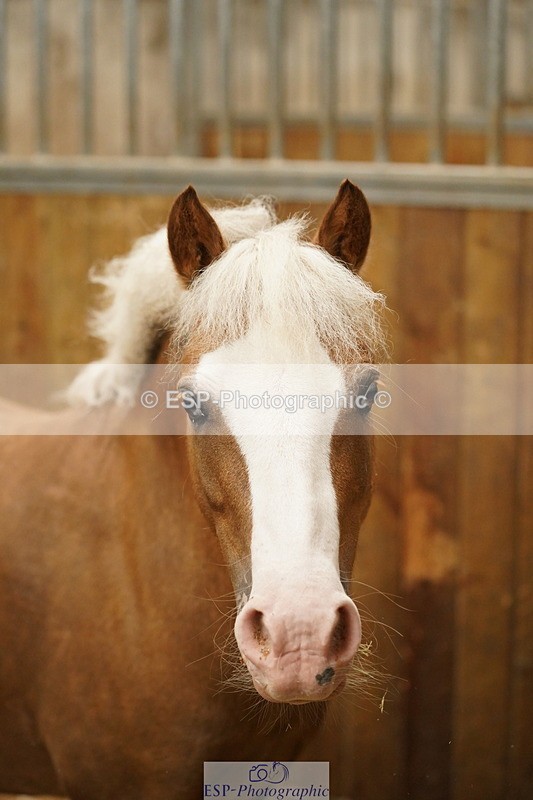240809A-134436-00996 - Stable Shots