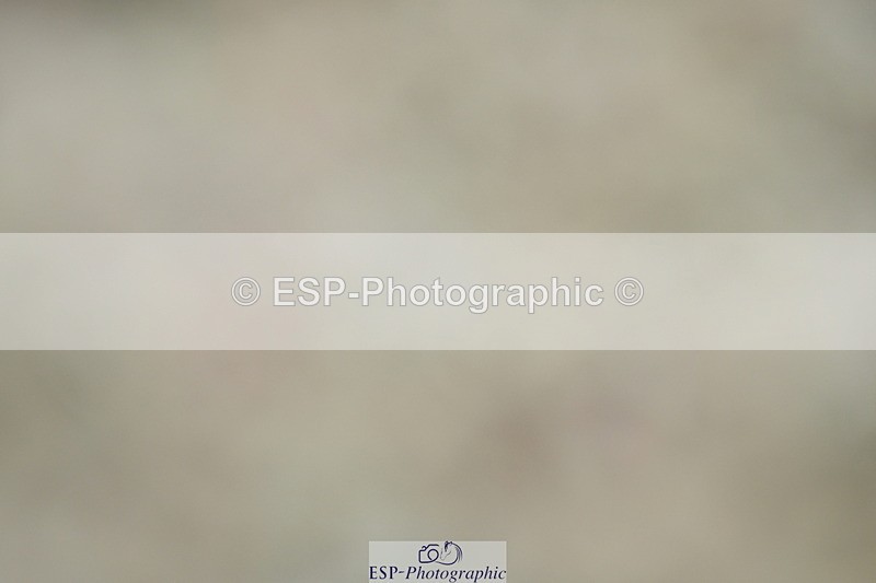 230708A-120941-01290 - Novice 23