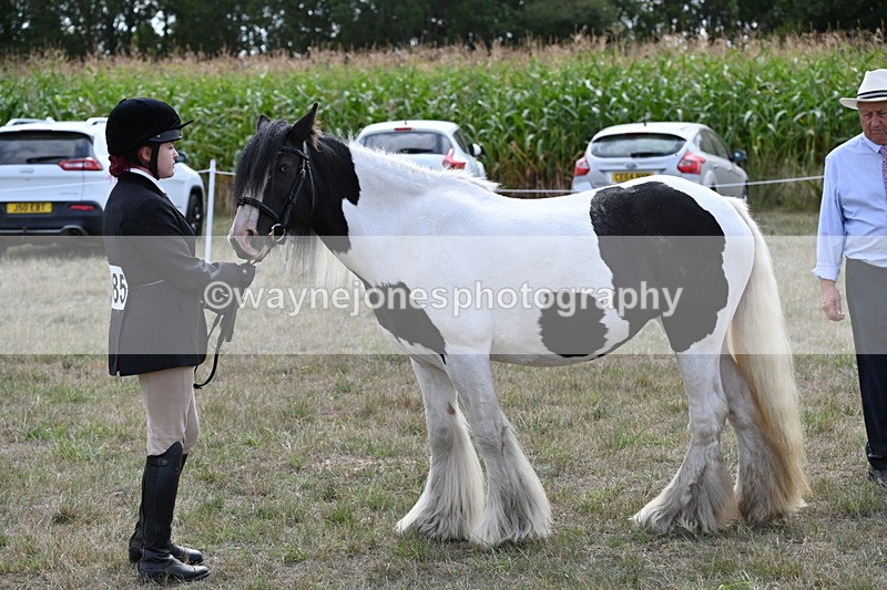 WJ6_6643 - Class 20 In-hand Cob