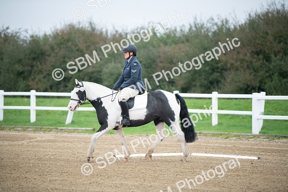 SBM_003490 - Introductory Test 3