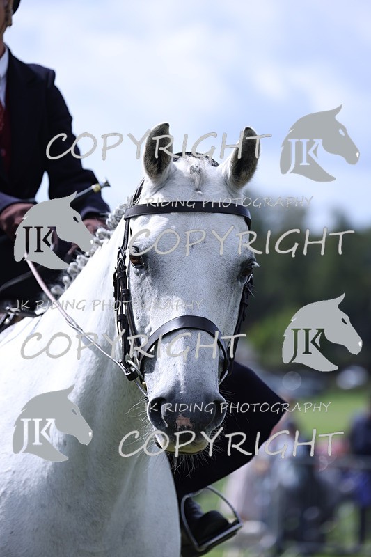 APP_3243 - Class 11 Veterans ridden