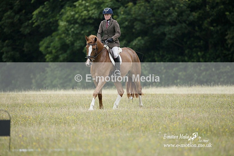 BVRC 030721 11 - Bourne Valley Riding Club Dressage 03/07/21