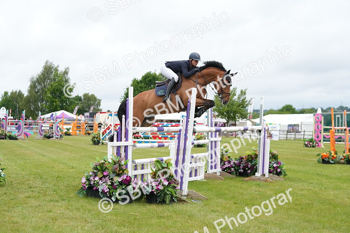 SBM_03240 - Class 201 - British Horse Feeds Speedi Beet Horse of the Year Show Grade  C