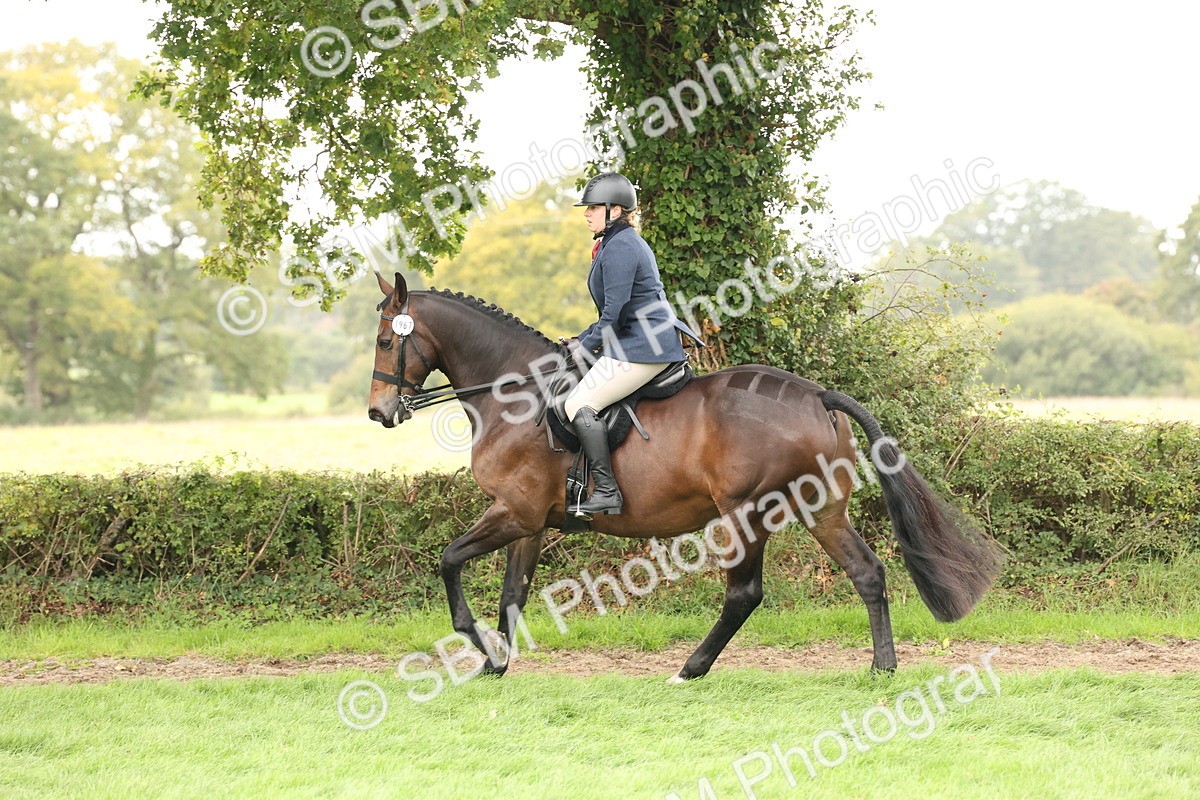 SBM_63027 - S64 - Foreign Breeds Ridden