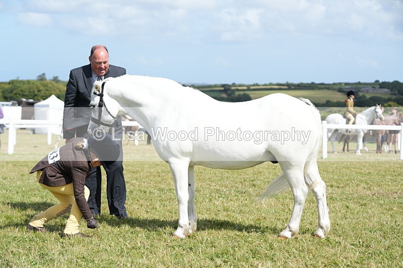 DSC07603 - Class 62: Child Handler