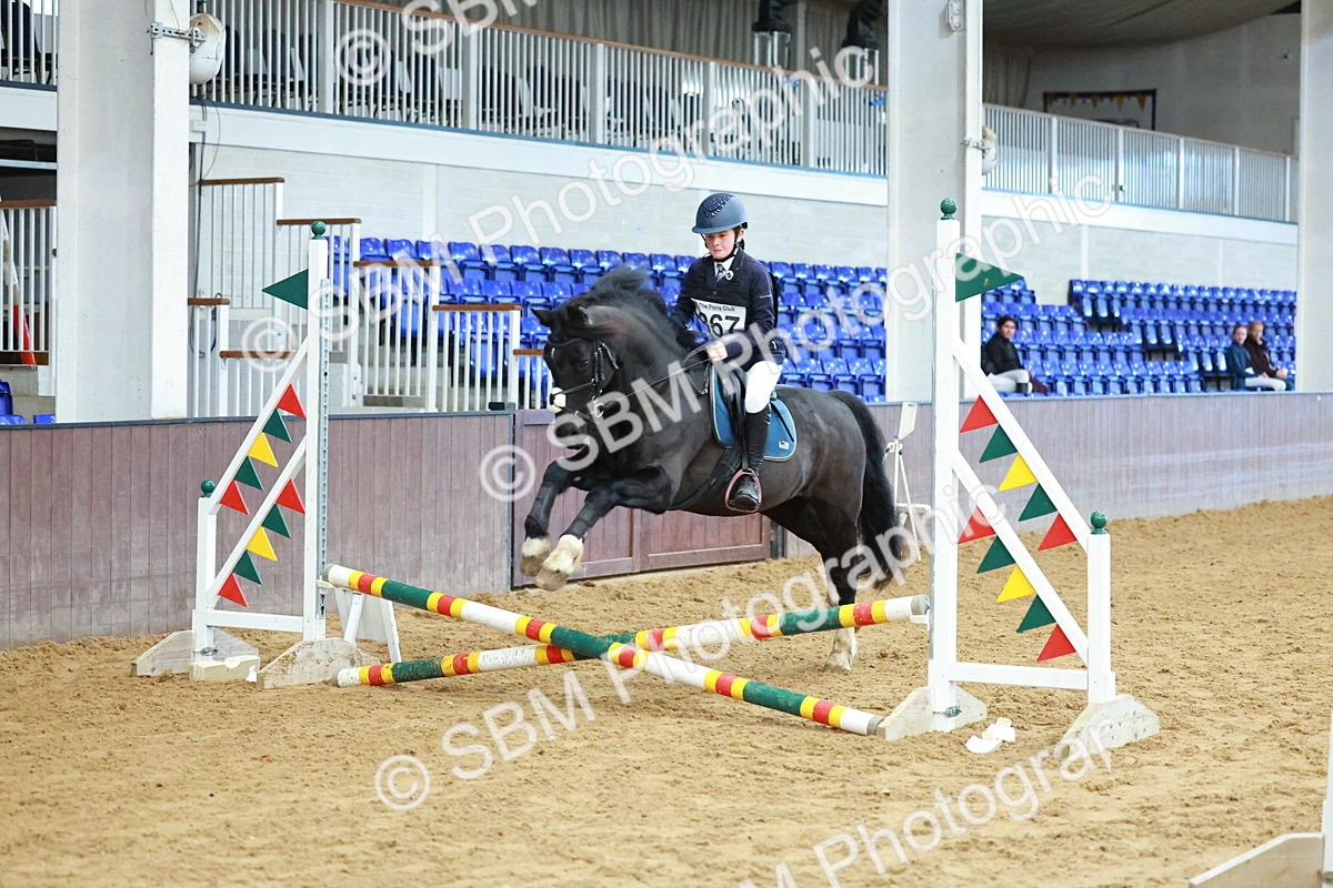 SBM_005750 - Class 2 - 50cm