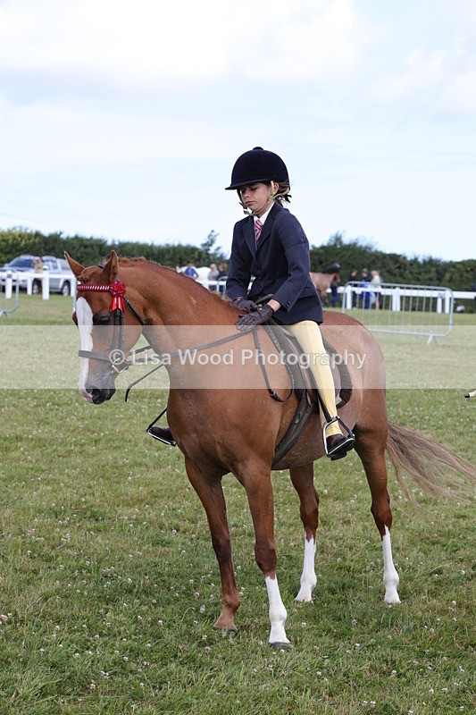 1X9A3908 - Class 31: Show Pony 148cm and under