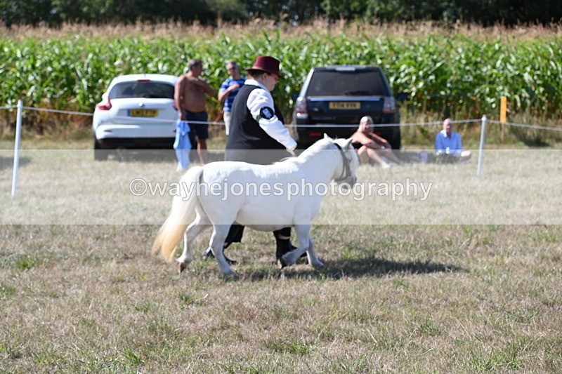 WJ6_4797 - Class 17 Mountain & Moorland