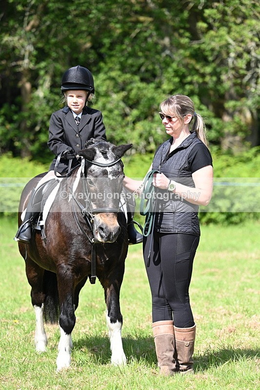 WJ7_0808 - Class 8 First Rally Pony