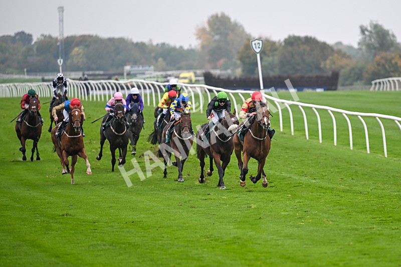 181025-Race 6-U Sure Do-0984 - Race 6