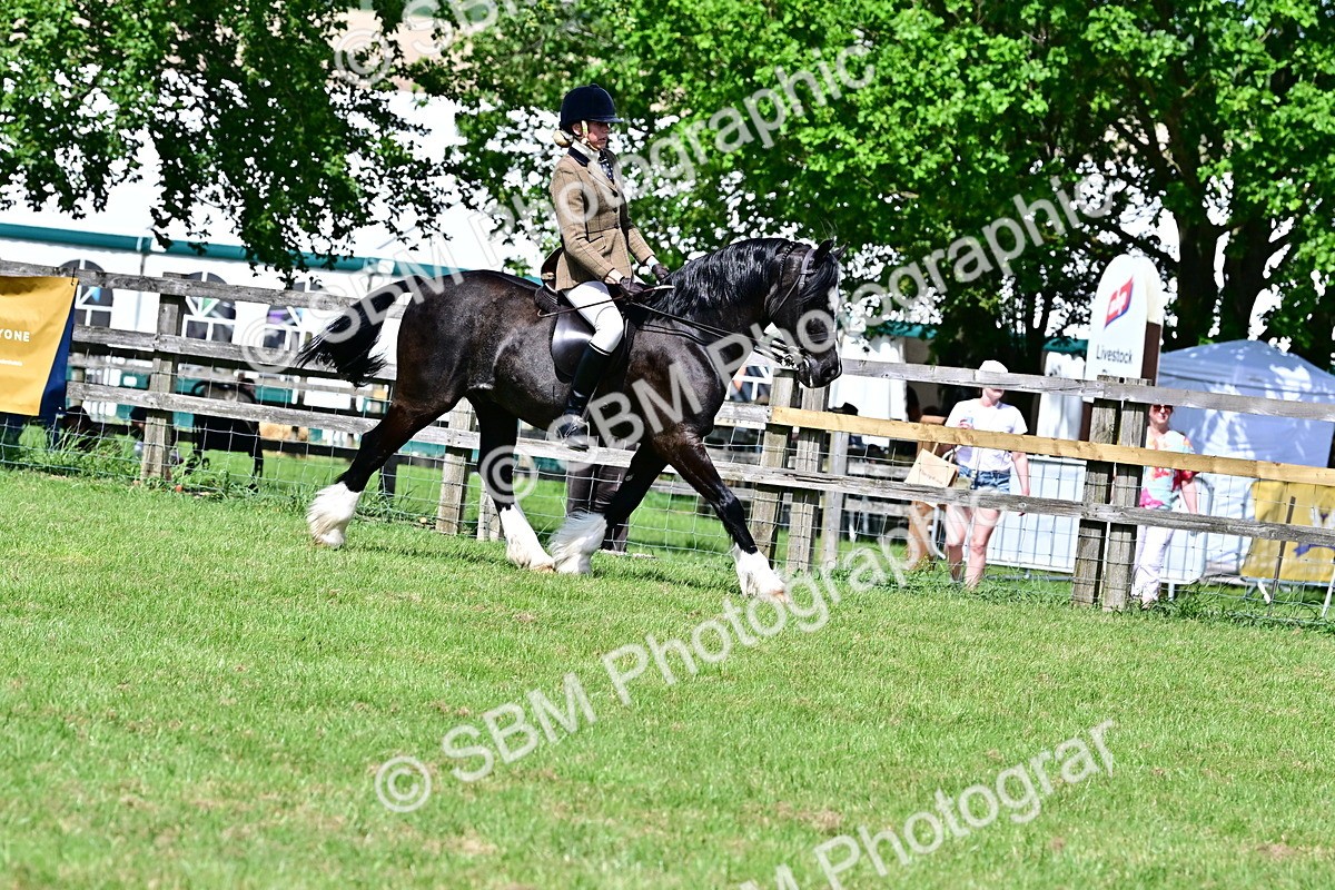 SBM_08026 - Class 61-62 - TSR  M&M Ridden Amateur of the Year