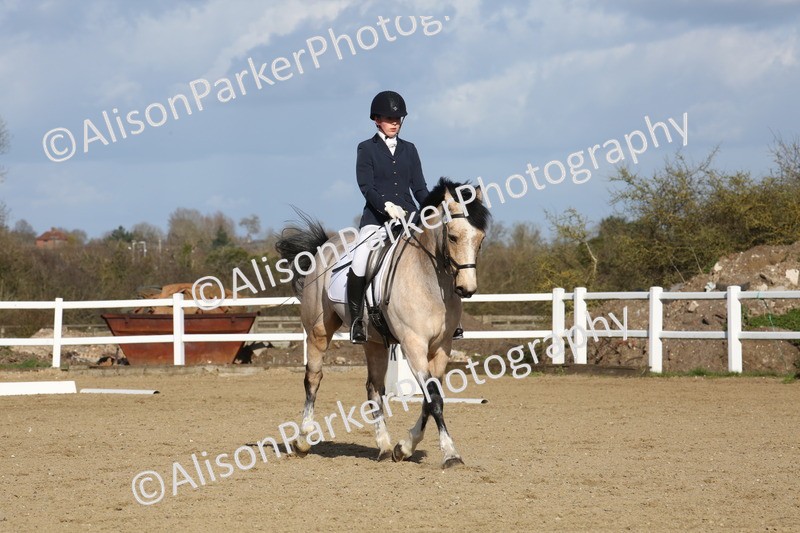 20260314-5206 - DR6 - Novice 2