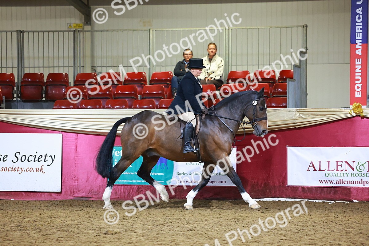 SBM_15668 - Class T - Working Veteran Champ
