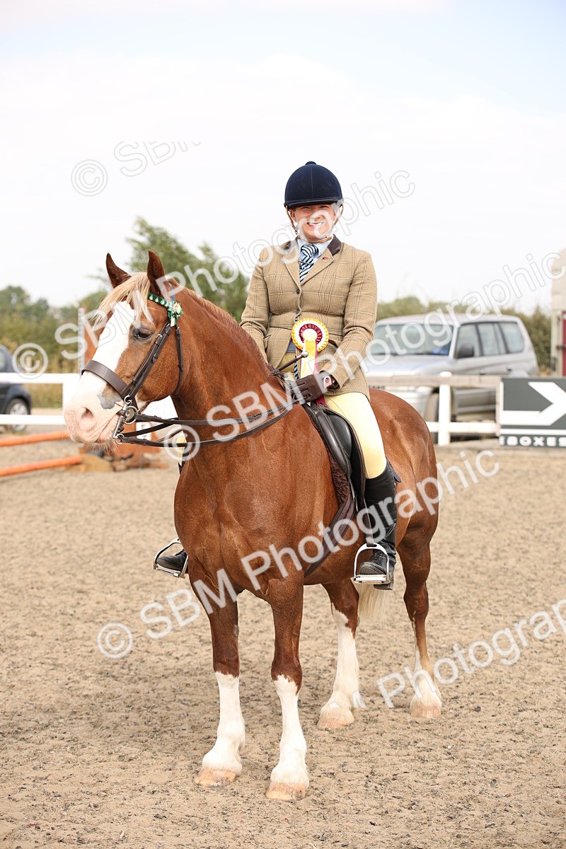 SBM_12641 - Class 405b - M&M Working Veteran 50cm 20+