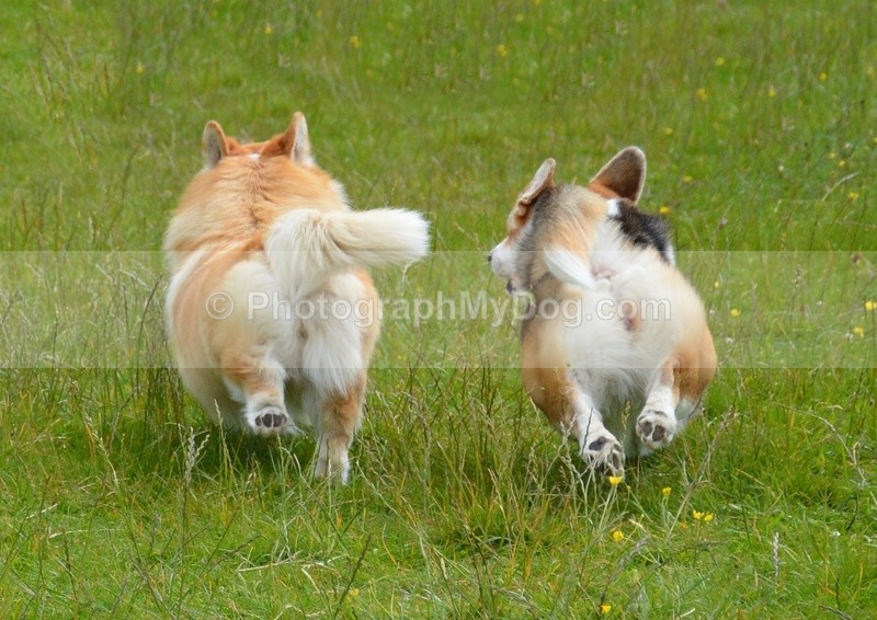  - Eric, Ulla, Maisie and Lola