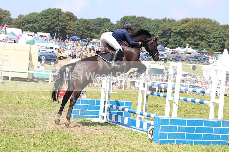 3E7A3377 - Class 10: Senior Foxhunter/1.20 open