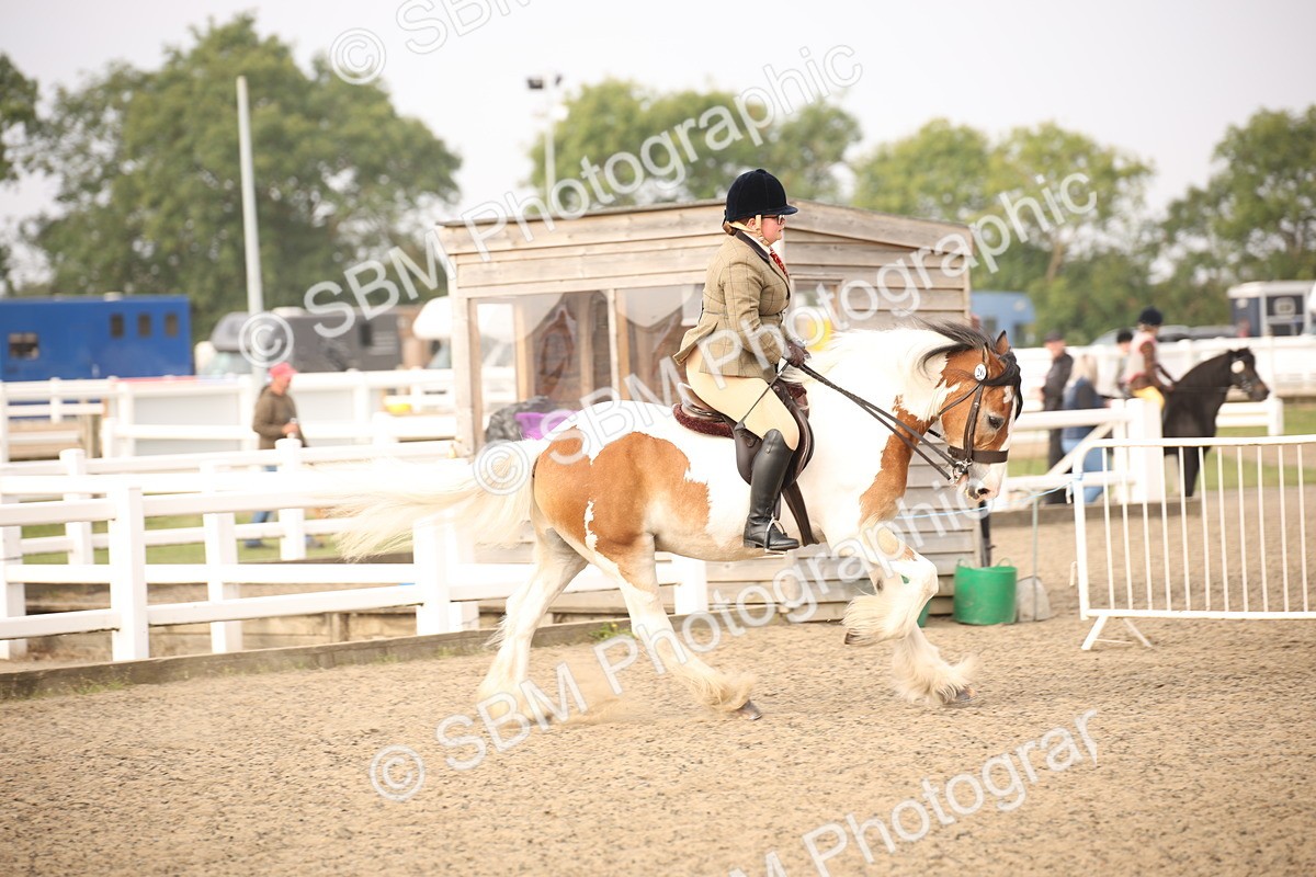 SBM_10205 - Class 402 Riding Club Horse