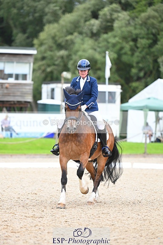 230813-142546-07756 - Cls 13 Medium Bronze 13.15 to End