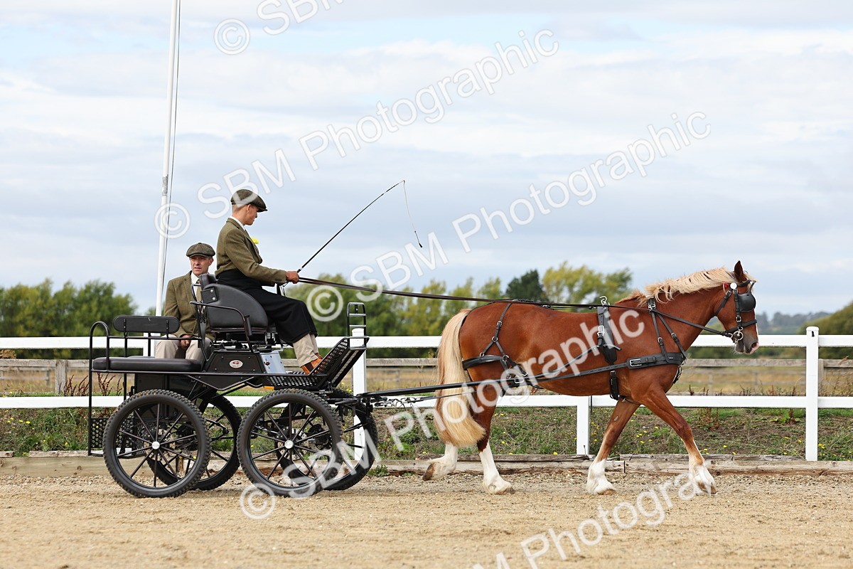 SBM_000695 - Class 6 - Exercise Vehicle 13.2 and over