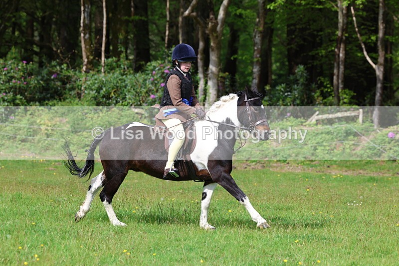 3E7A2715 - Working Hunter Championship