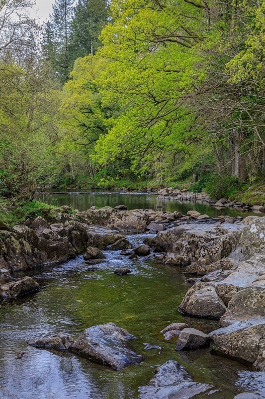 River Llugwy - North Wales
