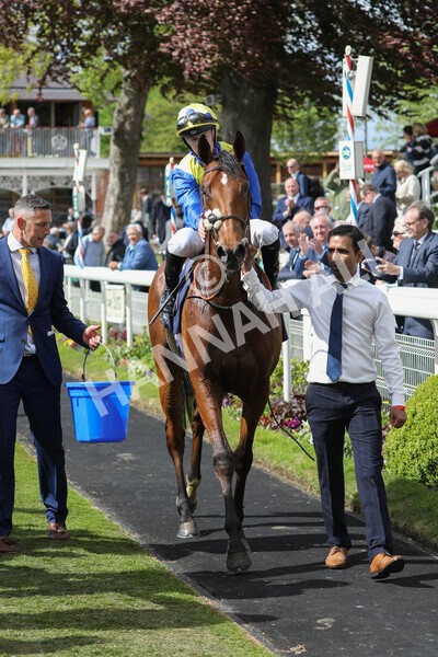 yr12052022r4-55 - Race 4 3.35pm Al Basti Equiworld Dubai Dante Stakes