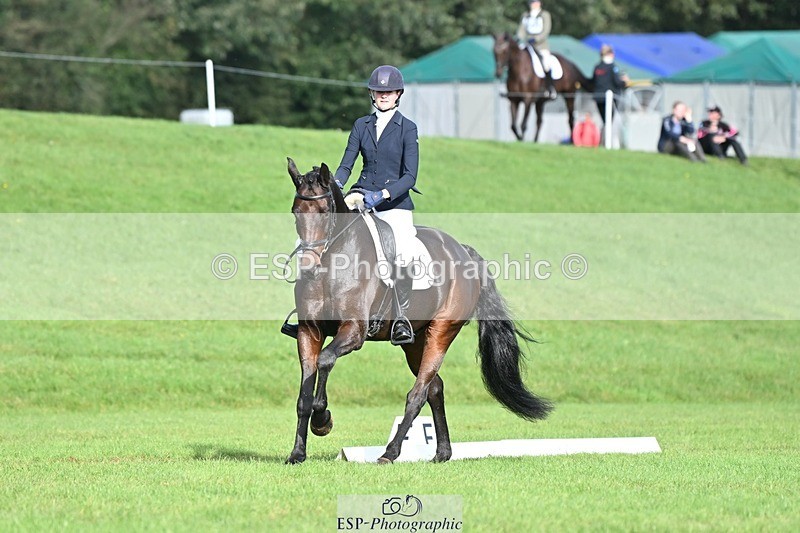 231020-111135-07808 - 645-COOLEY.CORPELLO-Francesca.Swallow-DR