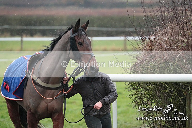 PtP 031223 611 - Wheatland Hunt PtP Chaddesley Races 03/12/23