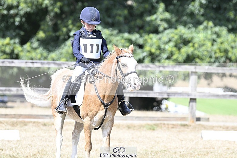 250821A-121230-15474 - DR 11.00 to 12.00