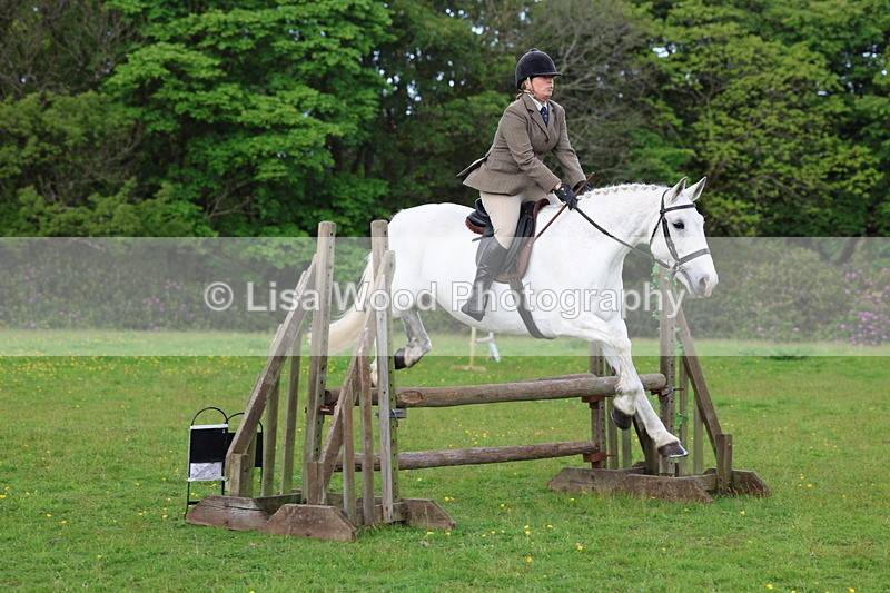 3E7A2552 - Classes 30 and 31: 80cm Working Hunter