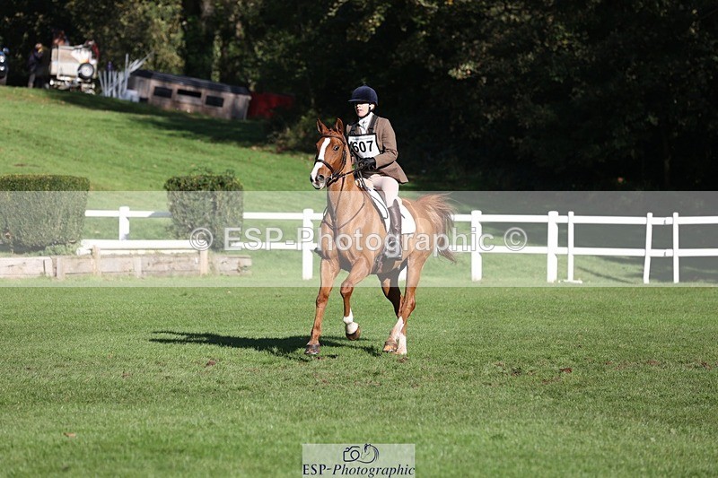 231022-111523-25051 - 607-RICO.III-Alison.Stewart-TrotUp+SJ