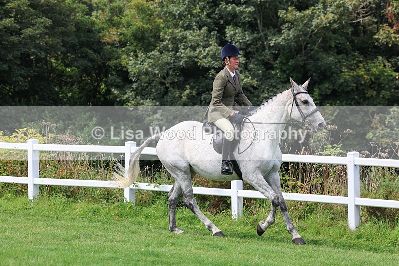 3E7A8652 - Class 5: Working Show Horse