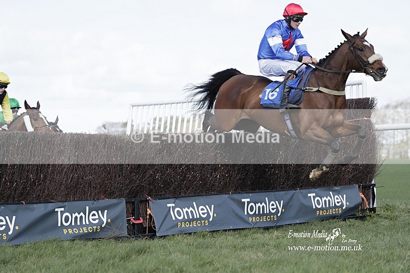PtP 100423 766 - Old Berkshire Point-to-Point Lockinge 10/04/23